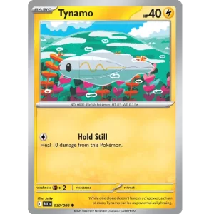 Tynamo - 030/086 - Common
