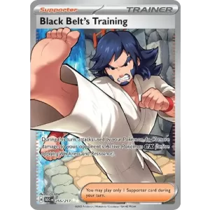 Black Belt's Training - 255/217 - Full Art Secret Rare